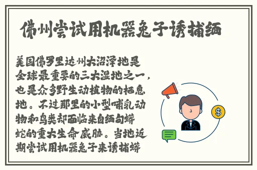 8008性福宝